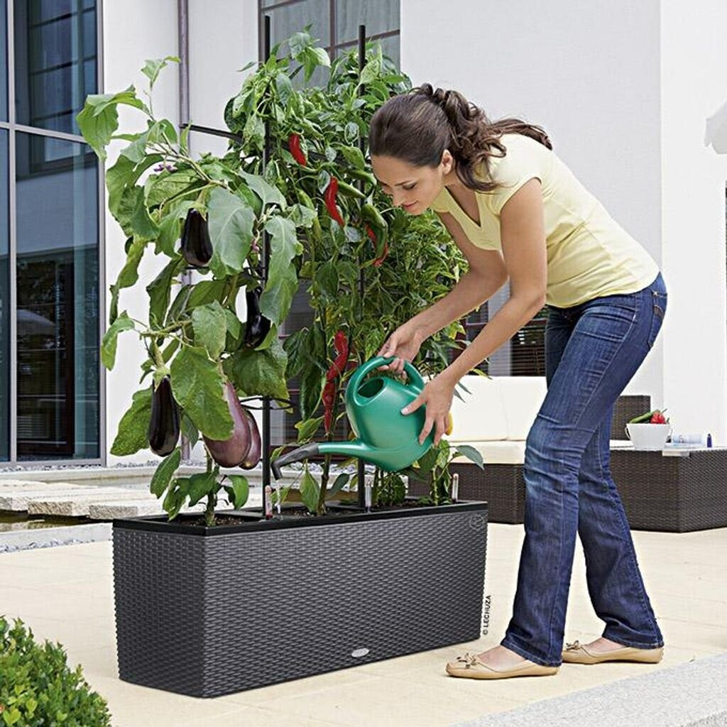 Lechuza Lechuza Trio Cottage 30 All-in-One Set 15006 - view 16