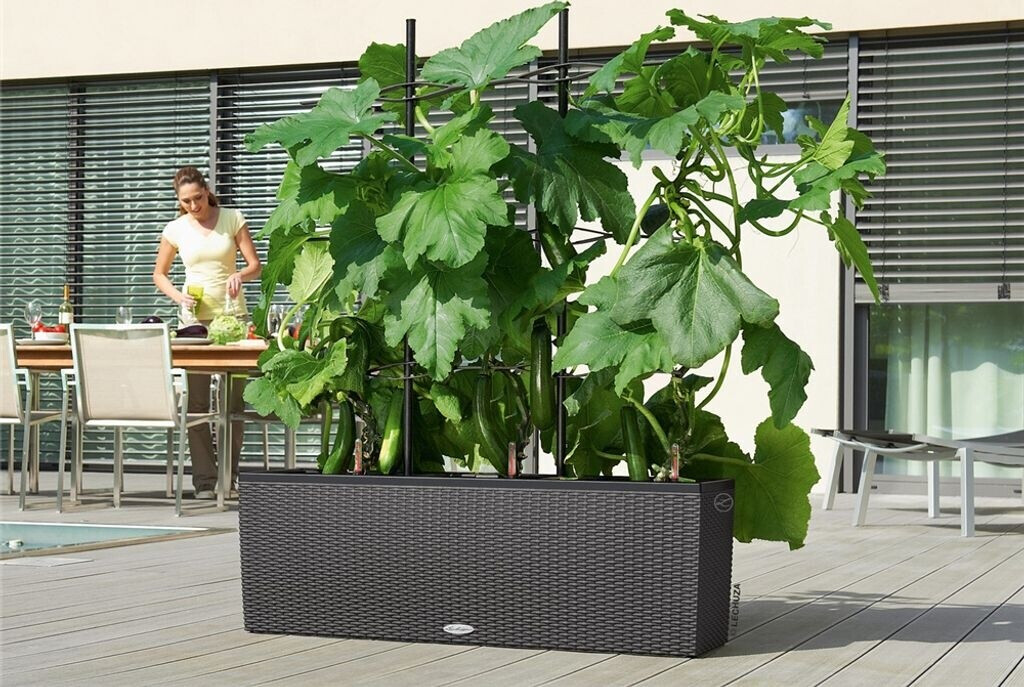 Lechuza Lechuza Trio Cottage 30 All-in-One Set 15006 - view 21