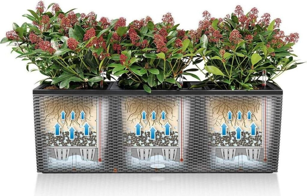 Lechuza Lechuza Trio Cottage 30 All-in-One Set 15006 - view 24