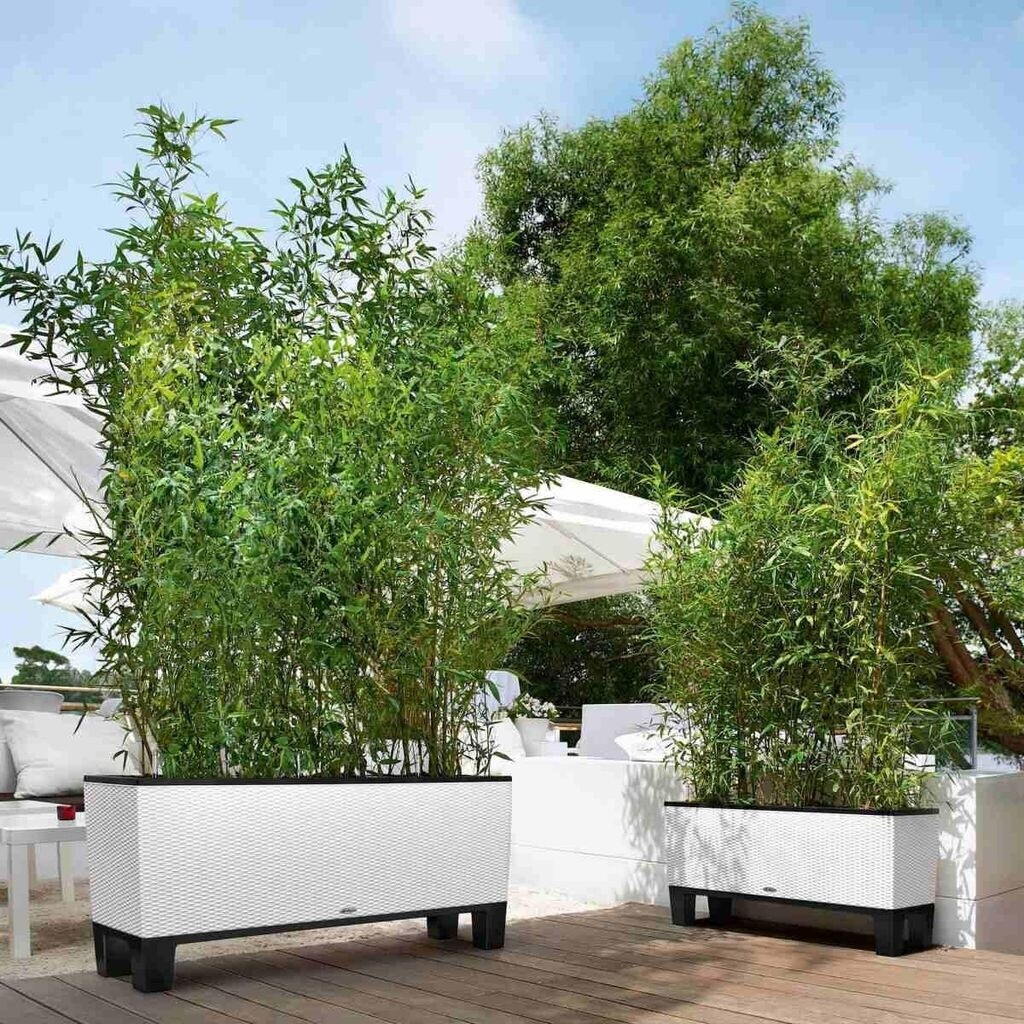 Lechuza Lechuza Trio Cottage 30 All-in-One Set 15006 - view 26