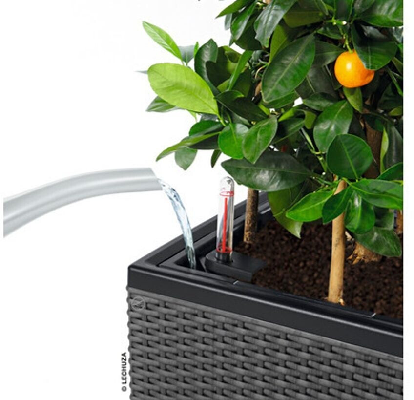 Lechuza Lechuza Trio Cottage 30 All-in-One Set 15006 - view 29