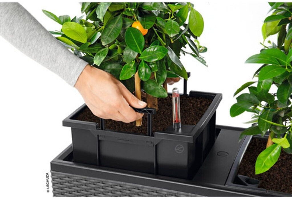 Lechuza Lechuza Trio Cottage 30 All-in-One Set 15006 - view 30