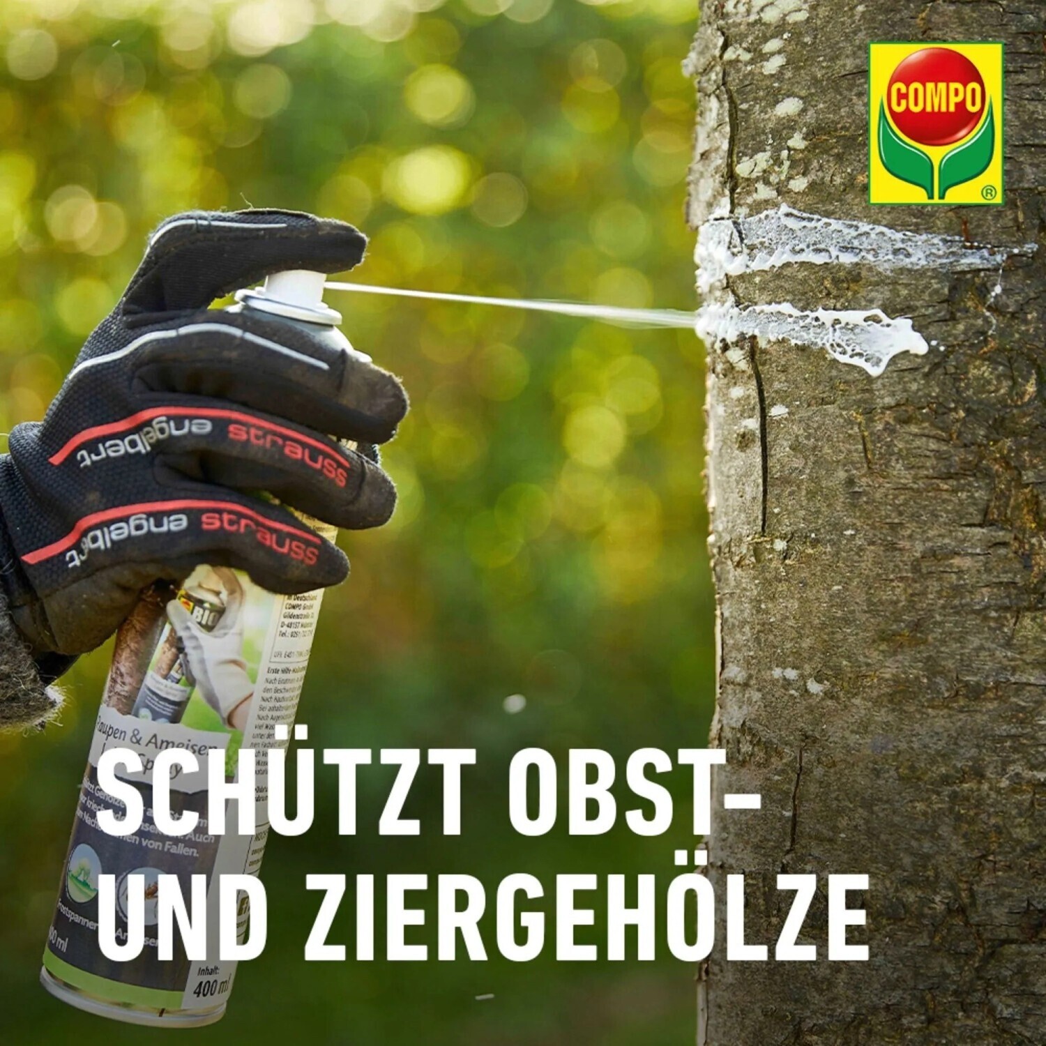 mittel zum schutz von saatgut Böschungsmatte – effektiver Schutz vor Bodenerosion