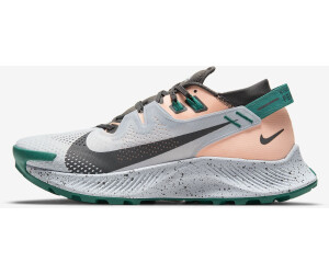 Nike Pegasus Trail 2 Women (CK4309) football grey/crimson tint/neptune  green/iron grey desde 140,00 € | Compara precios en idealo