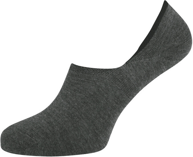 Nur Der Bambus (497575)