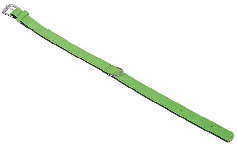 Nobby Collar South 60cm 28/32mm Green