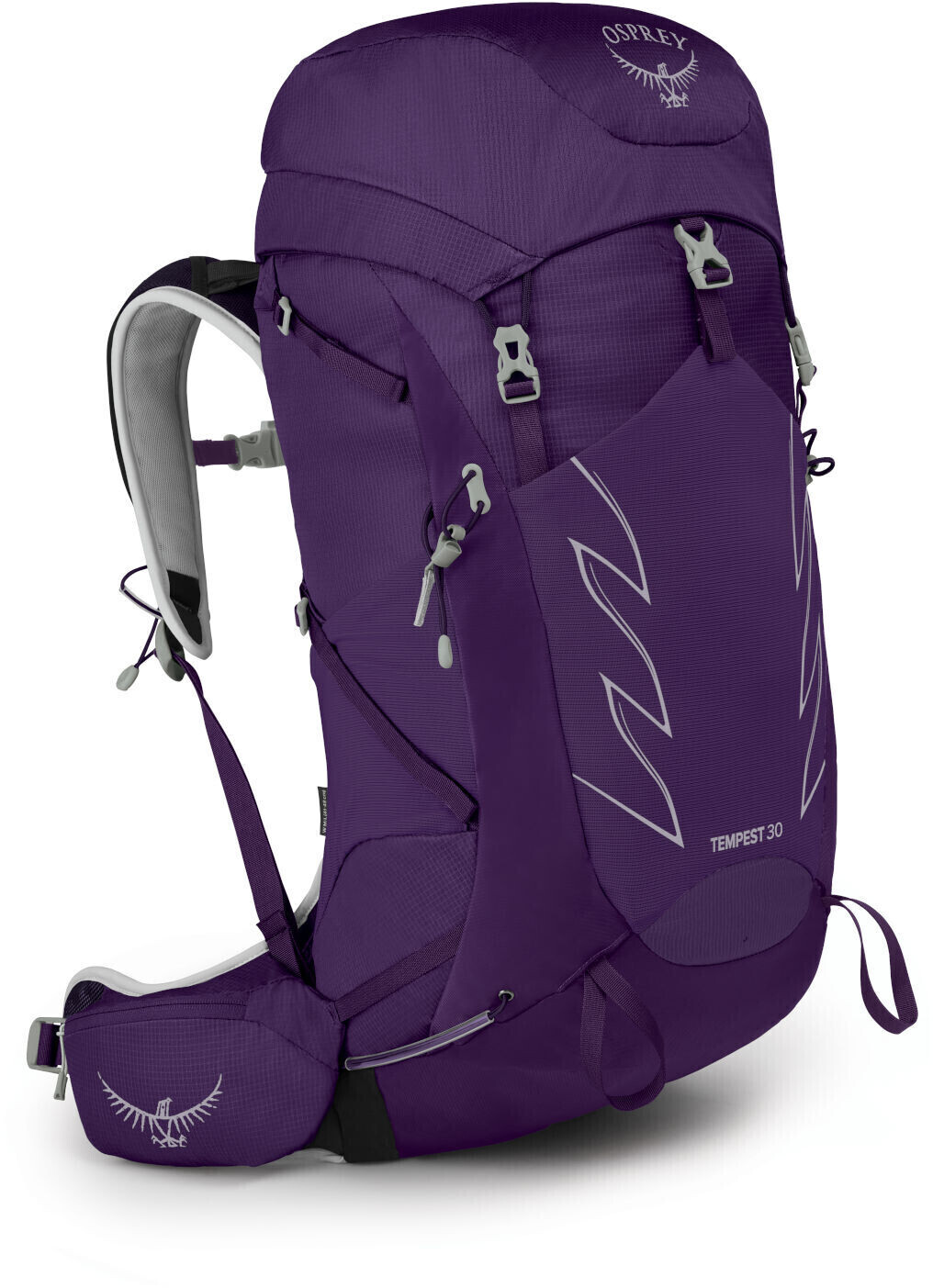 Osprey 30 litre hot sale backpack