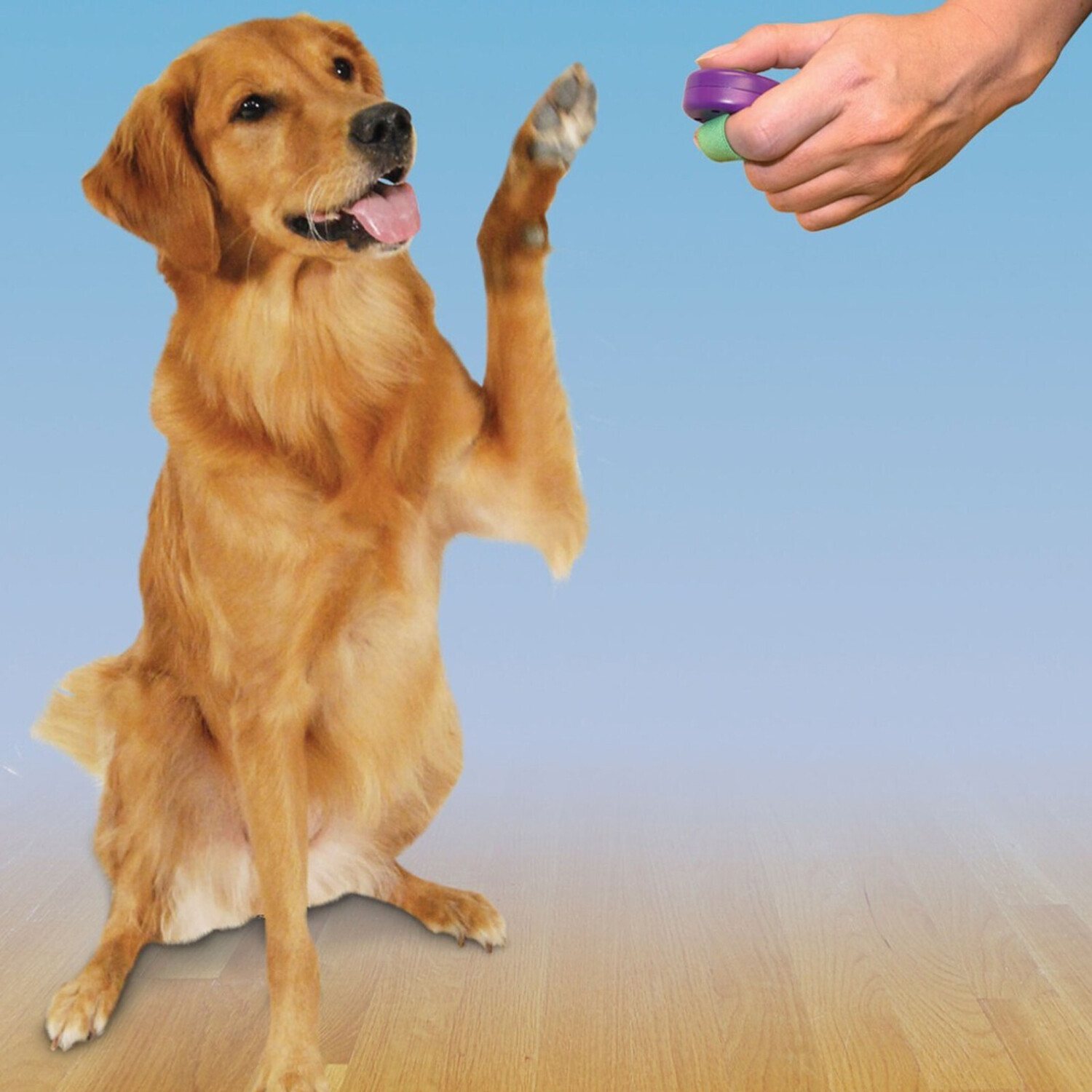 Petsafe Clicker pour chien