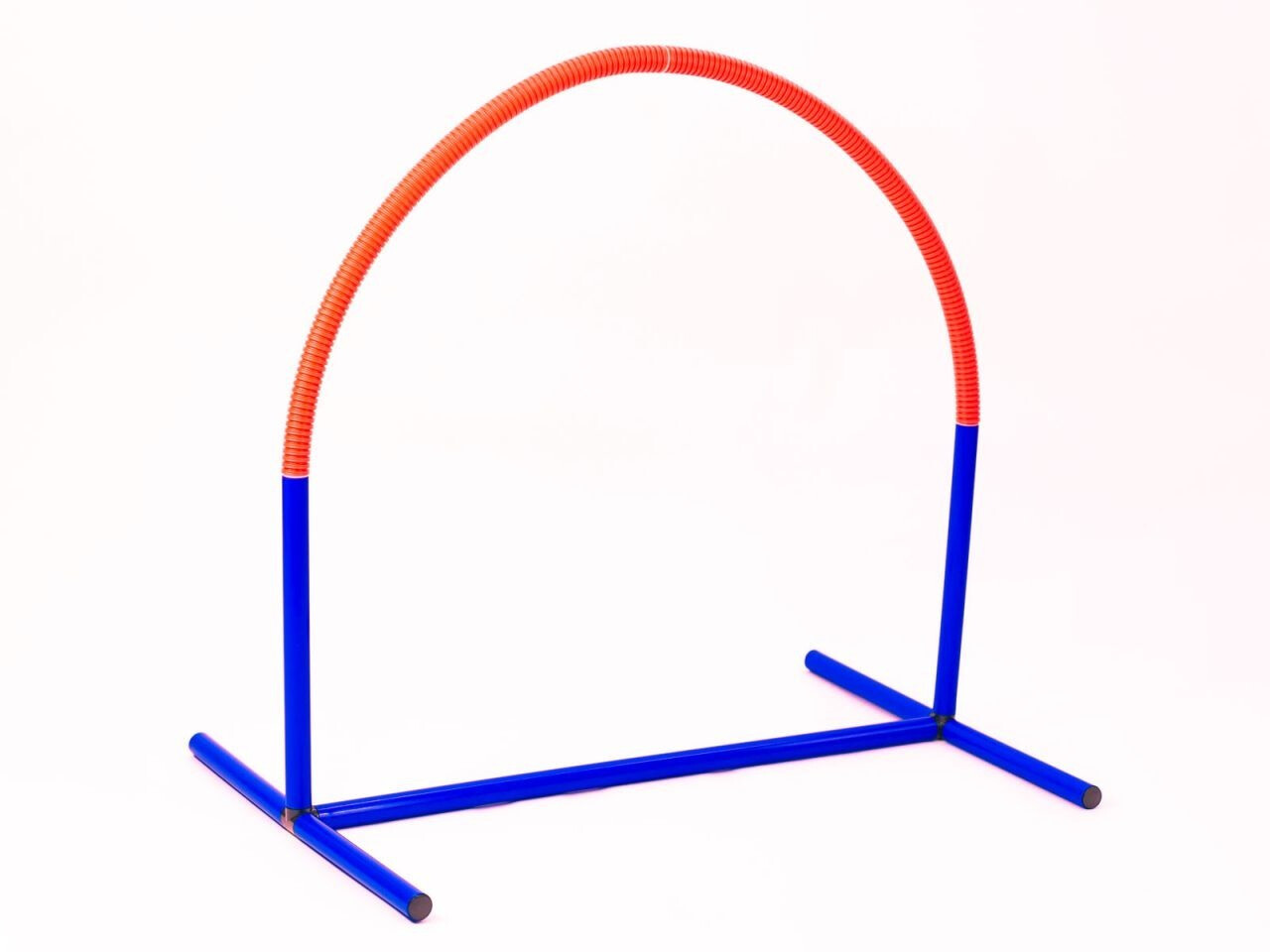 Procyon Hoopers Agility