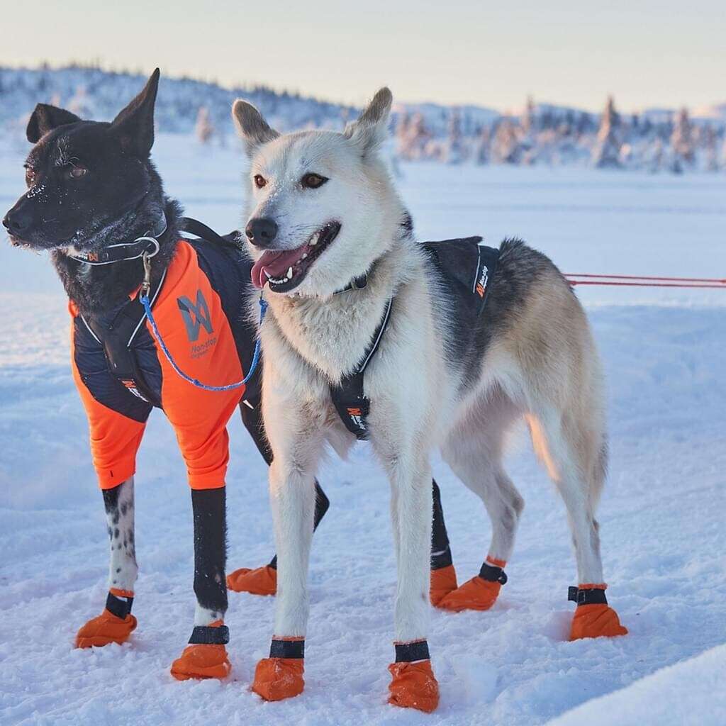 Non-stop dogwear Harnais de traction pour chien Size: 7 Non-stop dogwear Harnais de traction pour chien Size: 7