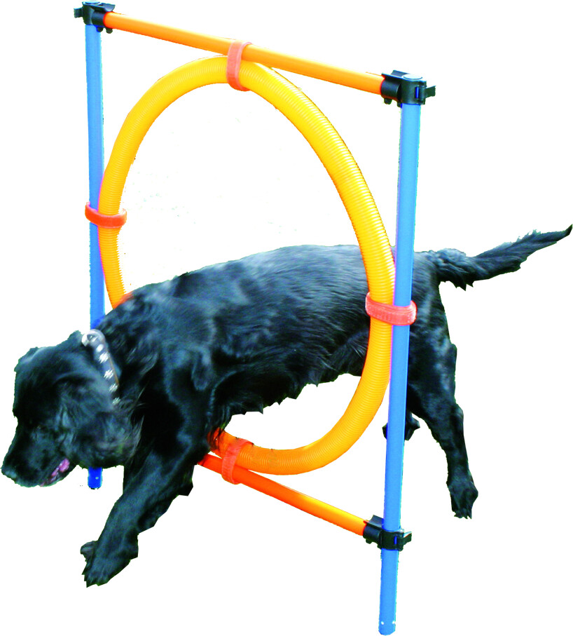 Pawise Agility Ring 117x10x10cm