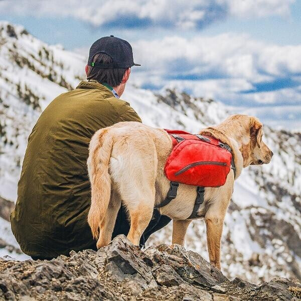 Kurgo Sacoche pour chien Red Kurgo Sacoche pour chien Red