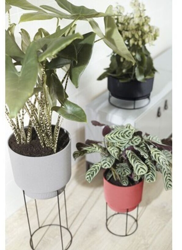 Elho Elho b.for studio Ø30x18,8cm Living Black - view 13