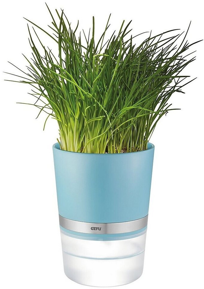 Gefu Botanico Blue