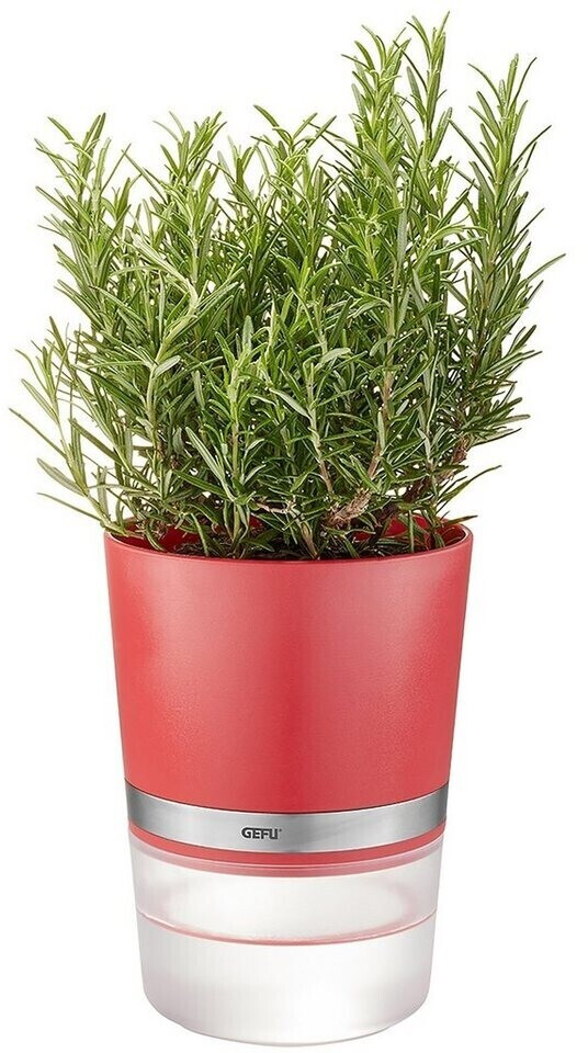 Gefu Botanico Raspberry