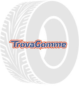 Tracmax Privilo RS-01 265/40 R22 106Y XL