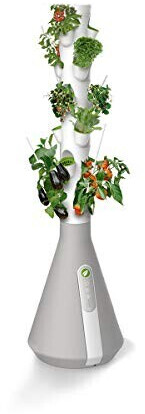 Home Potager Kit