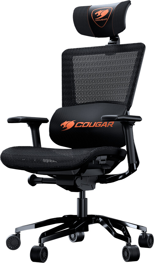 Cougar Argo noir