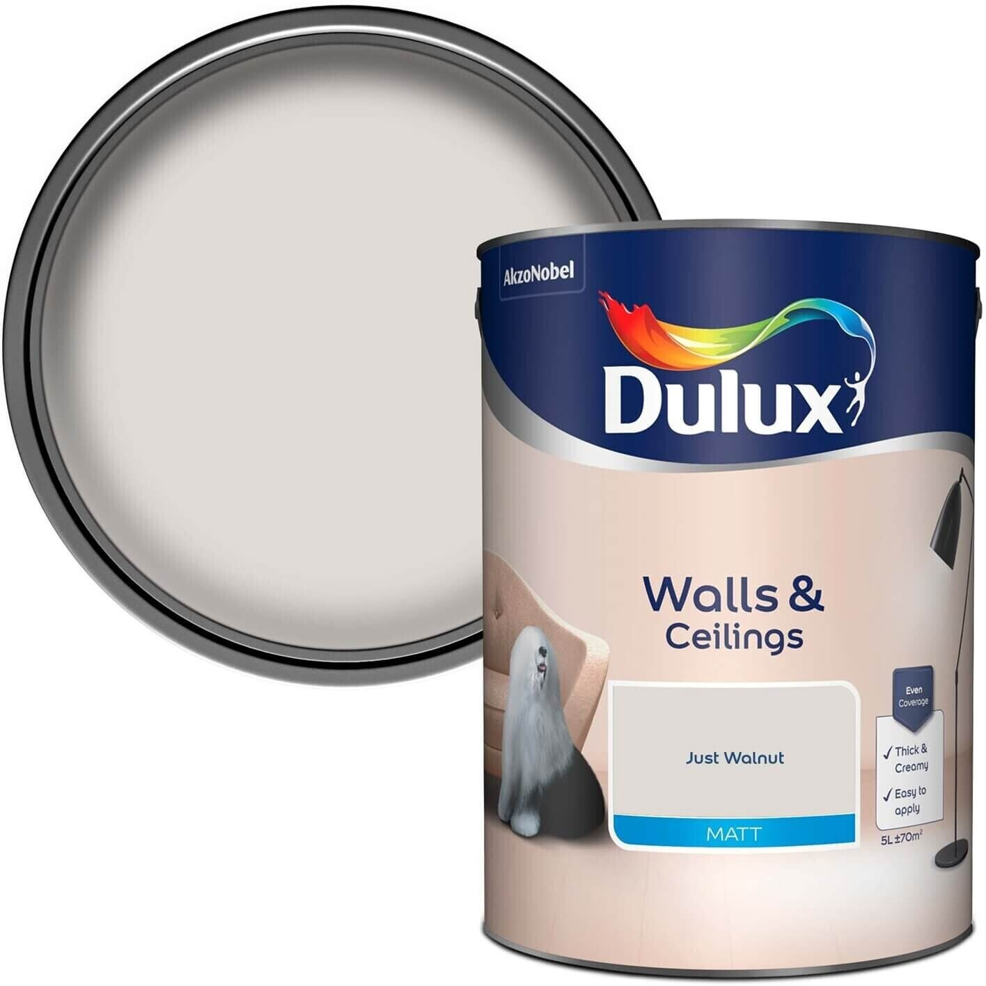 What is the best emulsion paint