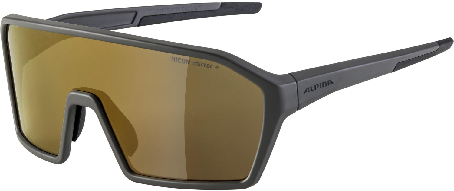 Photos - Sunglasses Alpina Sports  Sports RAM Q-LITE A8673021 