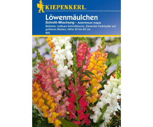 Kiepenkerl Antirrhinum Cut Mix