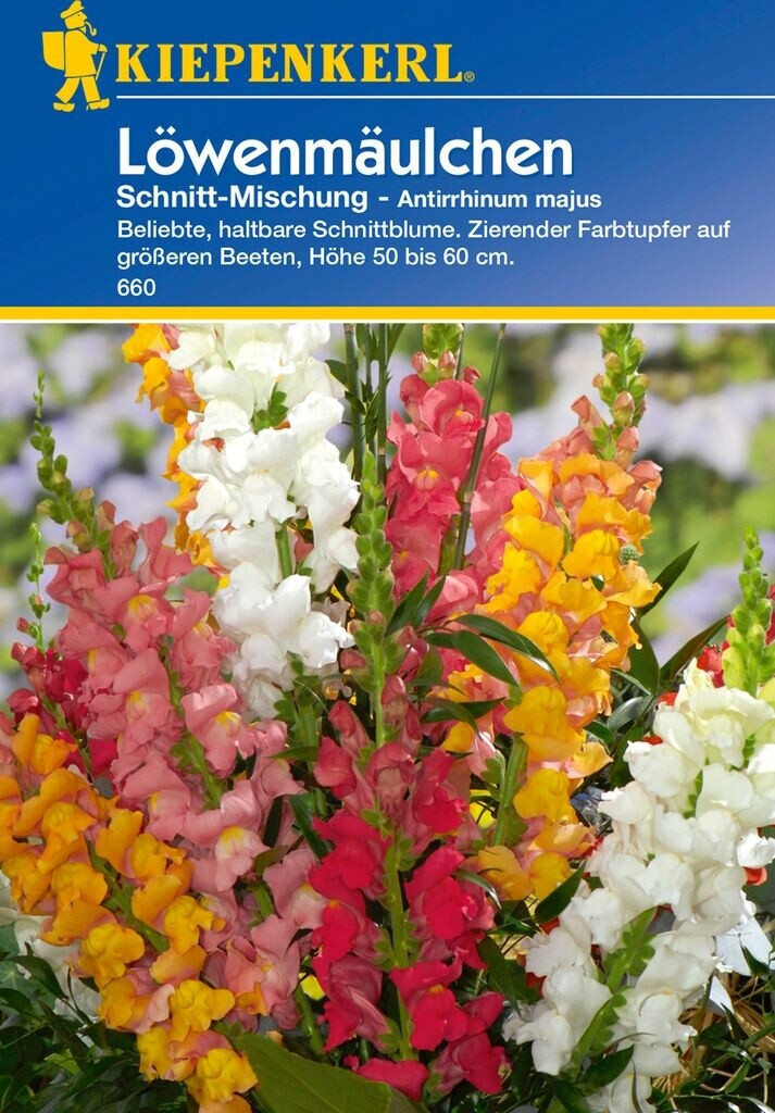 Kiepenkerl Kiepenkerl Antirrhinum Cut Mix - Product image 1 of 2