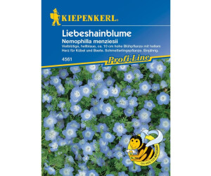 Kiepenkerl Love Grove Flower