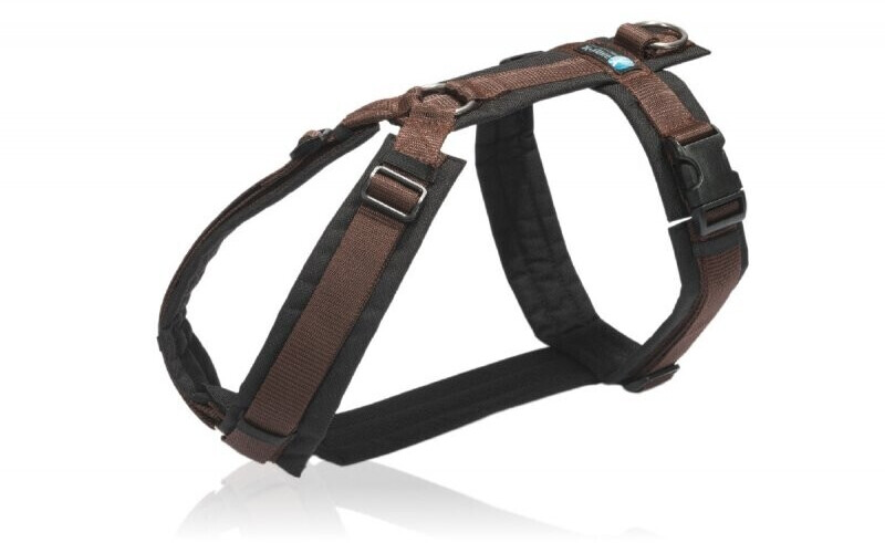 Anny-x Harness Fun