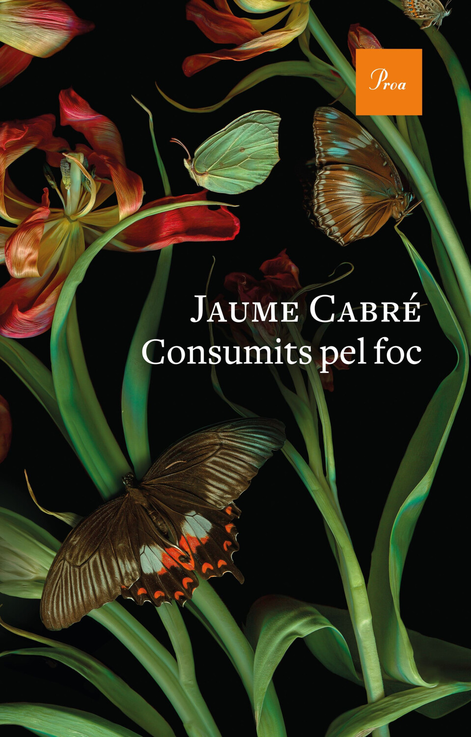 Consumits pel foc (Jaume Cabré)