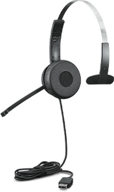 Lenovo 100 Mono USB Hedset