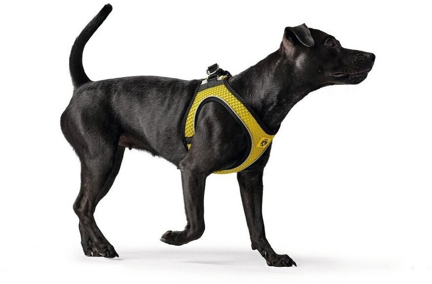 HUNTER Harnais pour chien BVB Yellow XXS HUNTER Harnais pour chien BVB Yellow XXS
