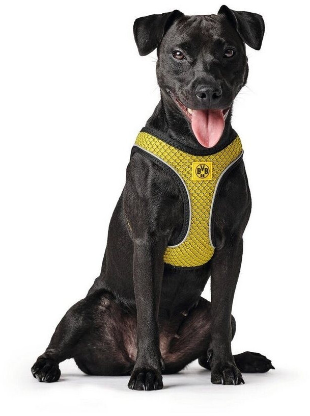 HUNTER Harnais pour chien BVB Yellow XXS HUNTER Harnais pour chien BVB Yellow XXS