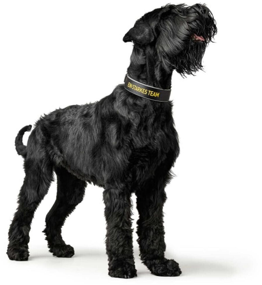 HUNTER Collier pour chien Collar BVB Black/Yellow 65 HUNTER Collier pour chien Collar BVB Black/Yellow 65