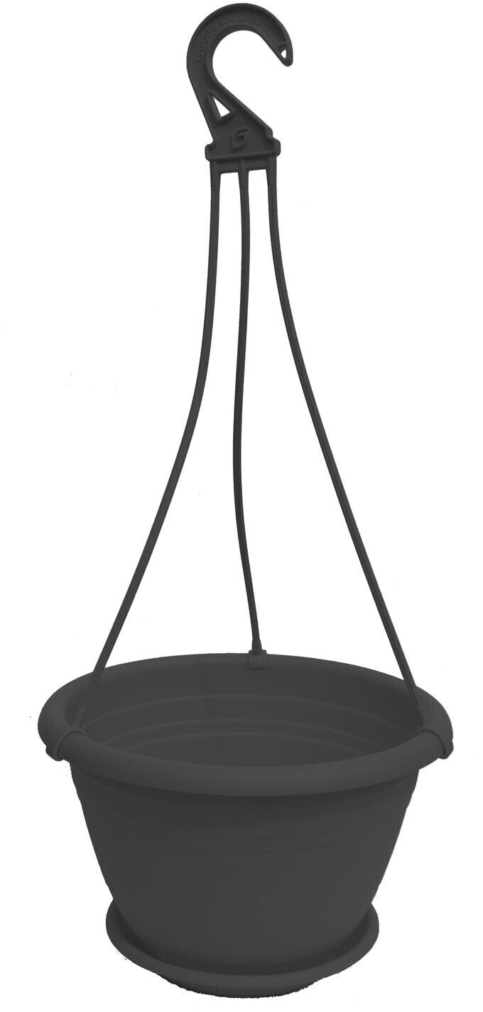 geli Galicia 20cm