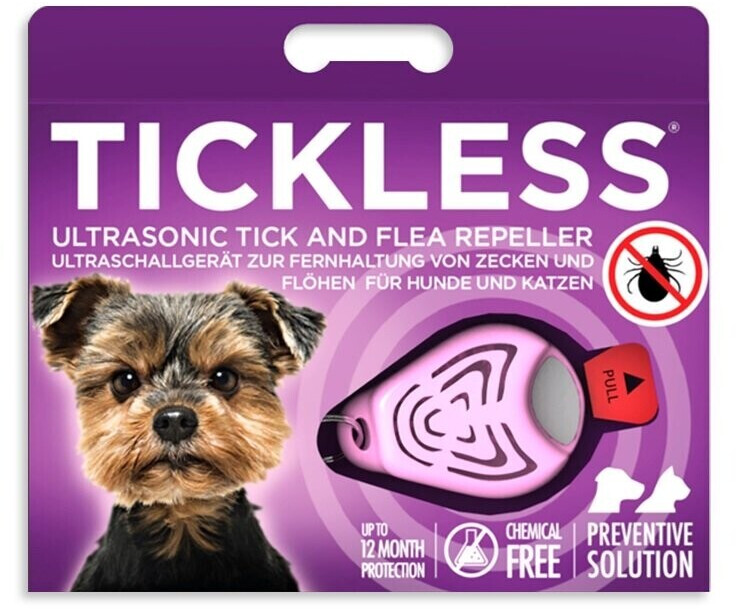 Tickless Pet rose