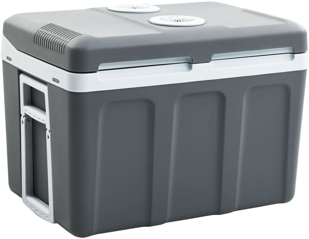 vidaXL Glacière portable thermoélectrique 45L