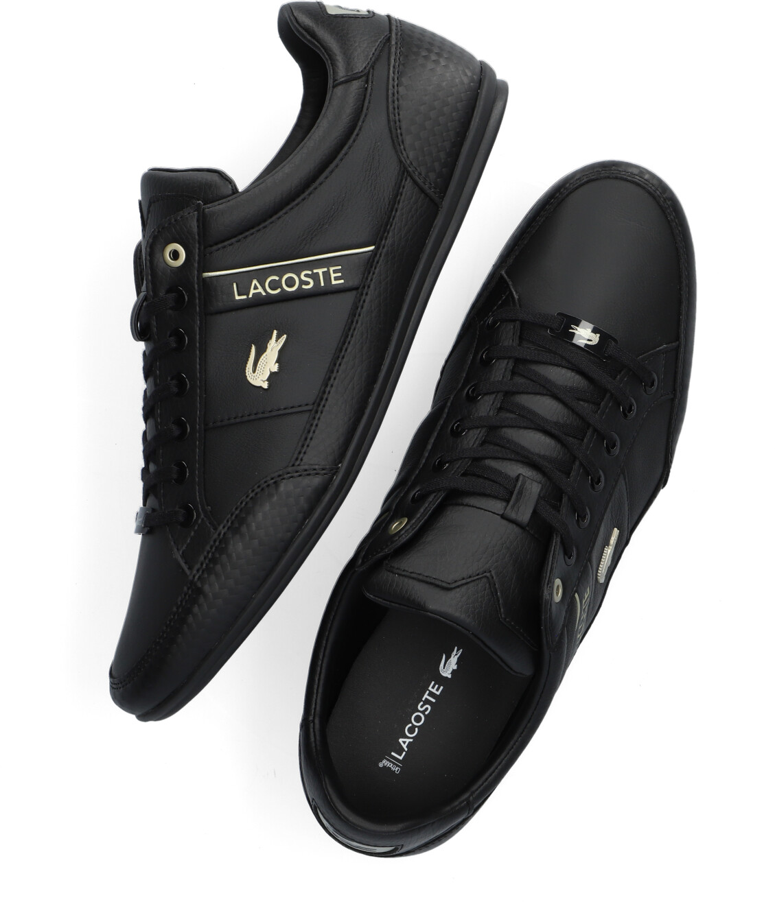 lacoste chaymon negras