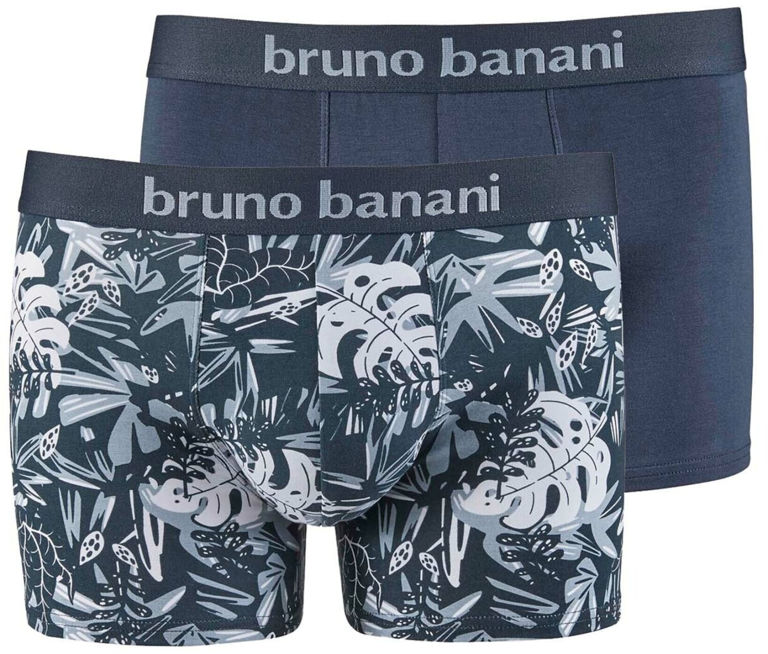 Bruno Banani 2-Pack Trunks grey (2201-2279-4224)