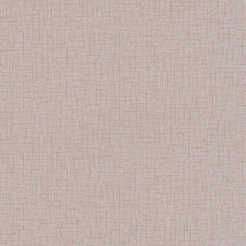A.S. Creation 37953-1