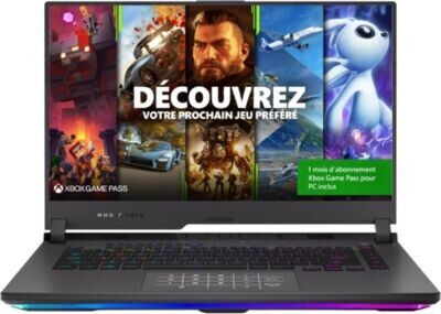 Asus ROG Strix G15 G513QM-HN178T