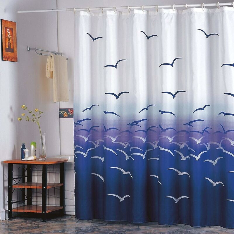 MSV France Seagulls