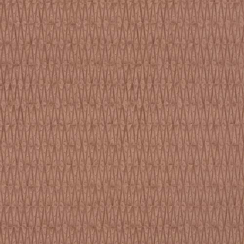 Rasch 428445