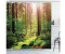 Abakuhaus Duschvorhang Moderner Digitaldruck mit 12 Haken auf Stoff 175 x 200 Wald Sunset Moss Woods Bäume