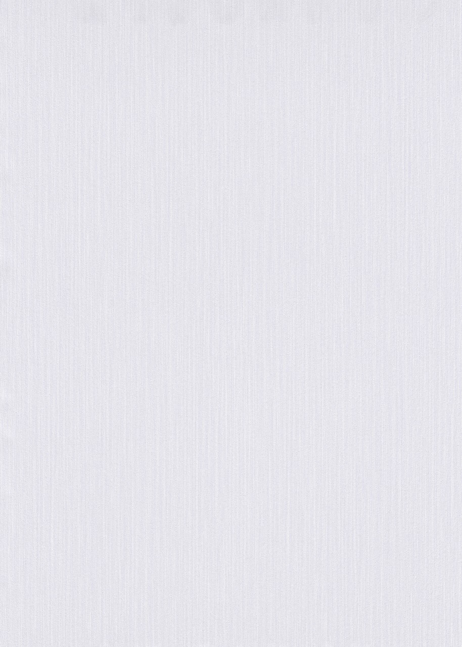 Erismann 10171-31