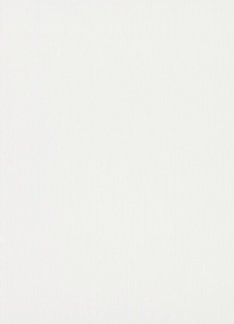 Erismann 10080-01