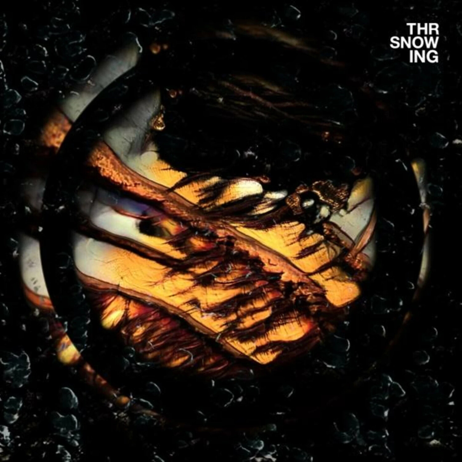 Throwing Snow - DRAGONS (Vinyl)
