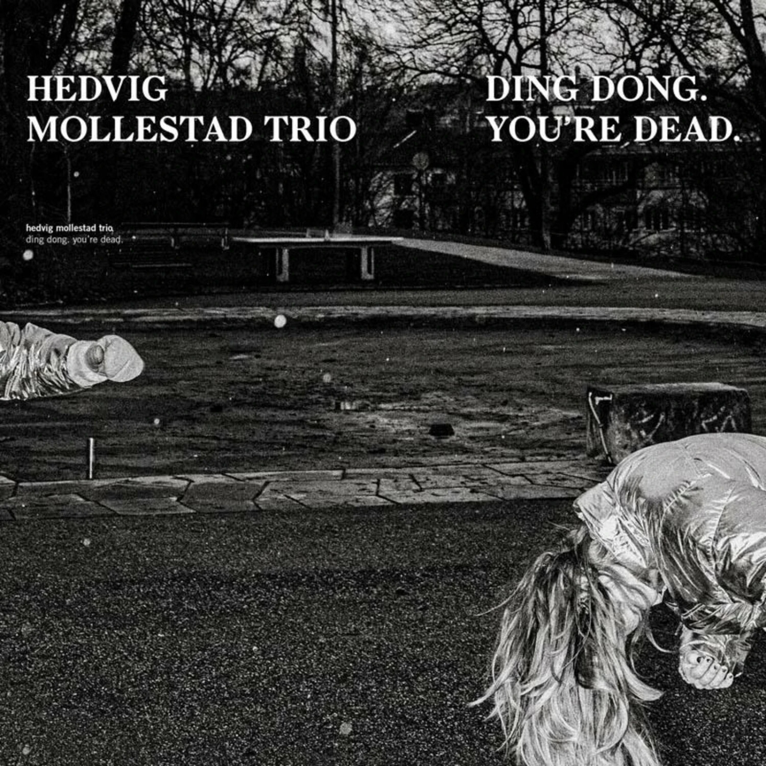 Hedvig Mollestad Trio - Ding Dong.You're Dead (Vinyl)