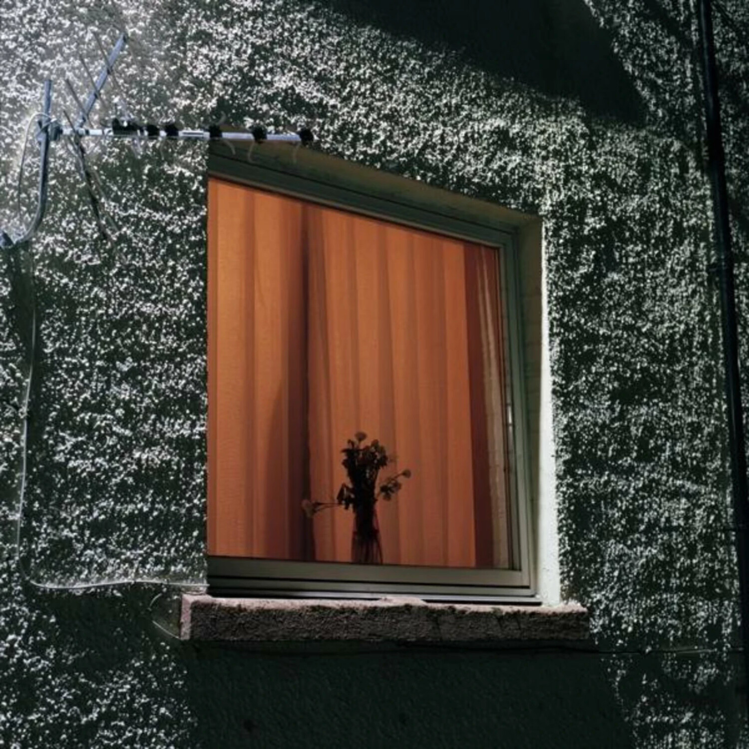 Wyldest - Monthly Friend (Vinyl)