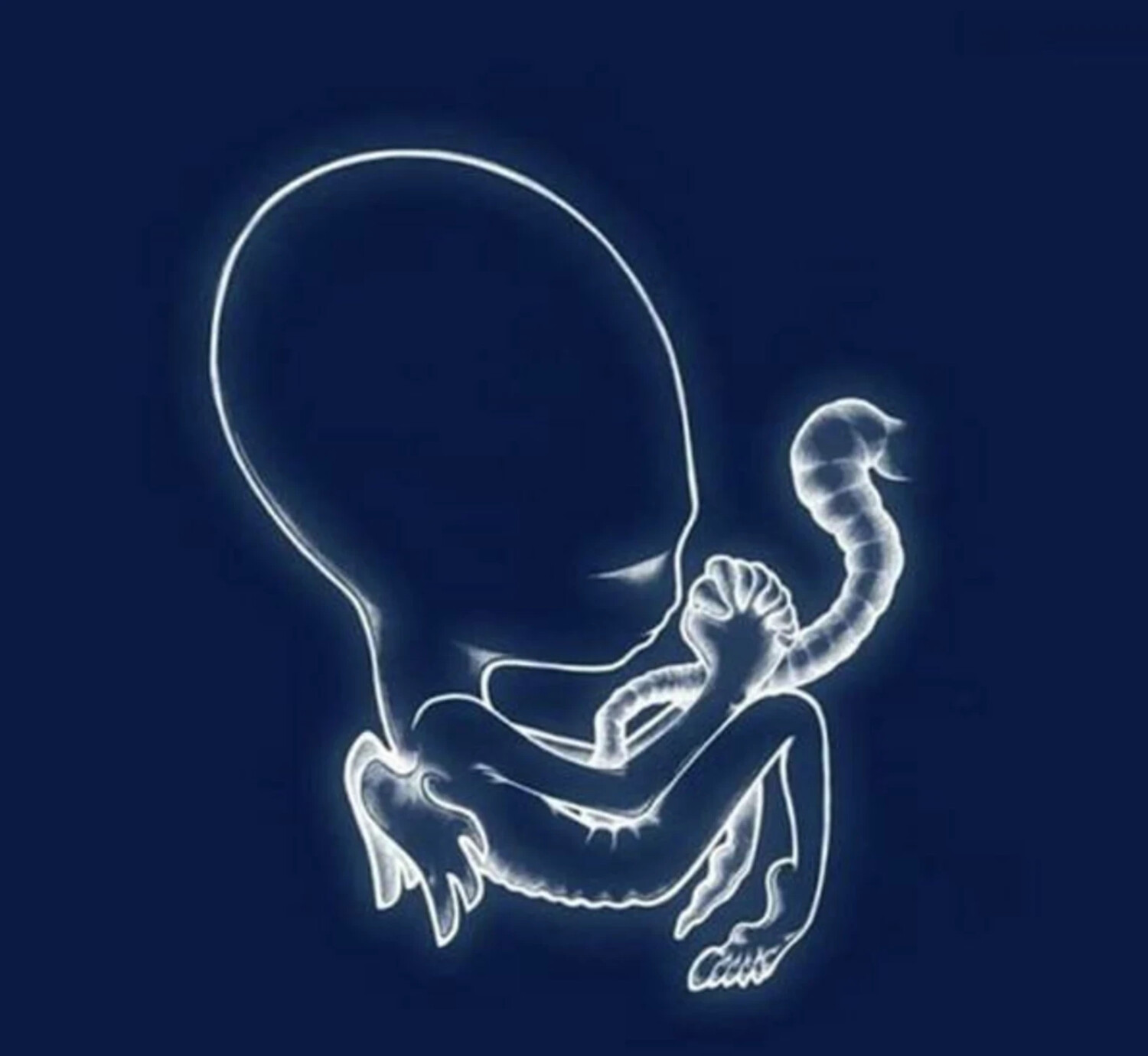 Sigur Rós - AGAETIS BYRJUN (Vinyl)