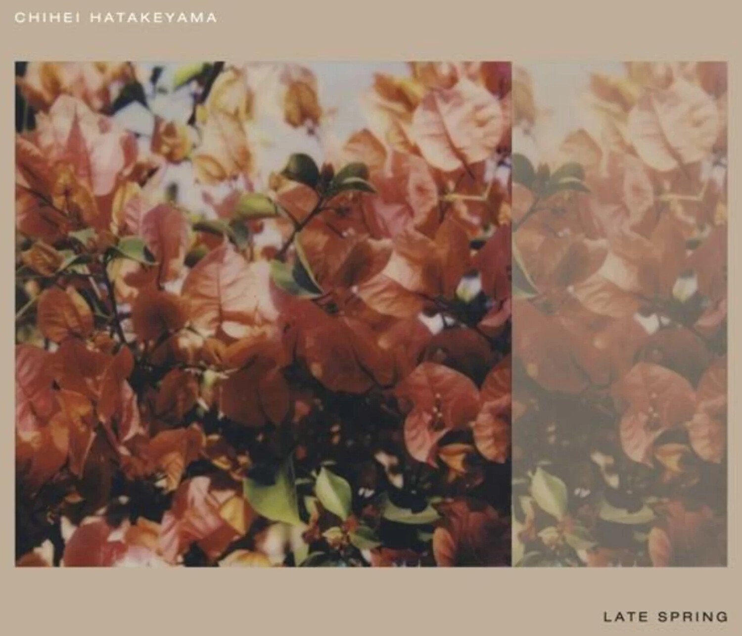 Chihei Hatakeyama - LATE SPRING (Vinyl)
